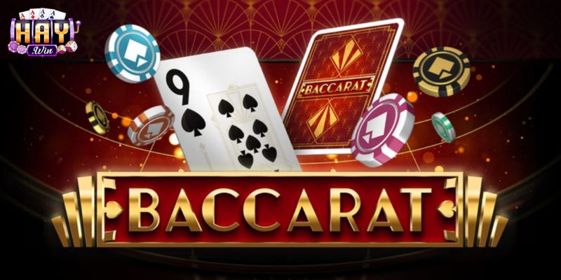 HAYWIN Tiết Lộ Cách Chơi Baccarat Cho Người Mới Bắt Đầu